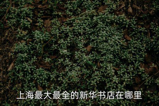上海市鎮平路附近有新華書店嗎，上海最大最全的新華書店在哪里