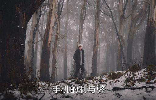  手機(jī)的利與弊