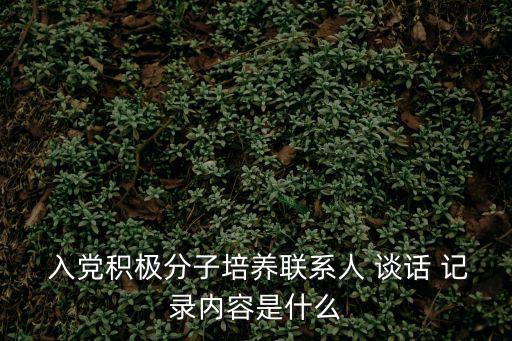 入黨談心談話記錄,入黨談話要檢查是否對黨對人民忠誠