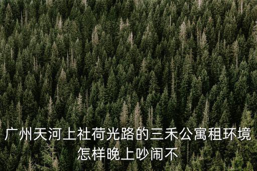 廣州天河上社荷光路的三禾公寓租環境怎樣晚上吵鬧不