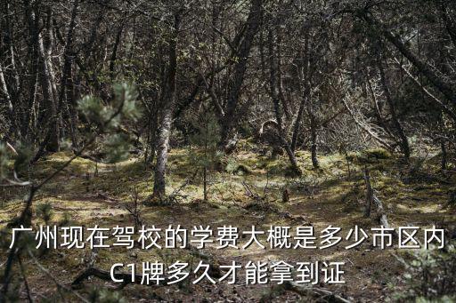 廣州現在駕校的學費大概是多少市區內C1牌多久才能拿到證