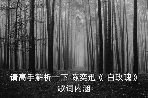 請高手解析一下 陳奕迅《 白玫瑰》歌詞內涵