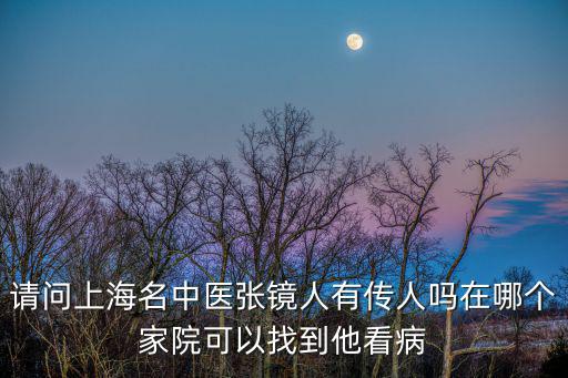 請問上海名中醫(yī)張鏡人有傳人嗎在哪個家院可以找到他看病