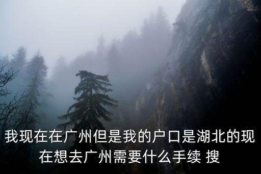 我現(xiàn)在在廣州但是我的戶口是湖北的現(xiàn)在想去廣州需要什么手續(xù) 搜