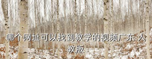 哪個網(wǎng)址可以找到教學的視頻廣東 人教版