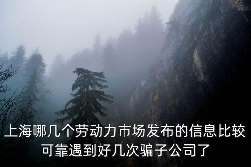 上海哪幾個勞動力市場發布的信息比較可靠遇到好幾次騙子公司了
