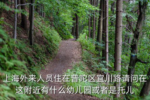 上海外來人員住在普陀區(qū)宜川路請問在這附近有什么幼兒園或者是托兒