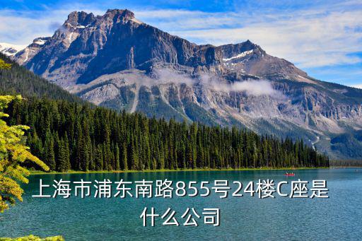 上海市浦東南路855號24樓C座是什么公司