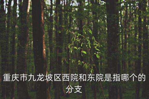 重慶市九龍坡區(qū)人民醫(yī)院東院住宿，重慶九龍坡第一人民醫(yī)院這個一家什么醫(yī)院