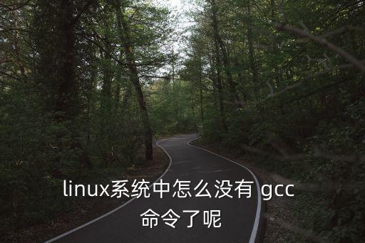 linux系統(tǒng)中怎么沒有 gcc 命令了呢