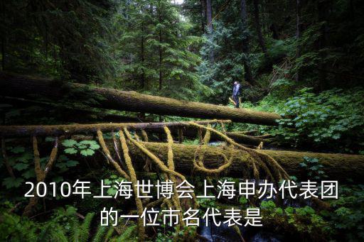 2010年上海世博會上海申辦代表團的一位市名代表是