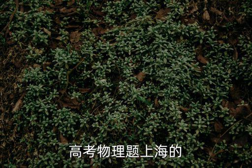 高考物理題上海的