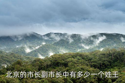 北京的市長副市長中有多少一個姓王