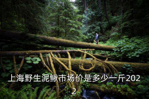 上海野生泥鰍市場價是多少一斤2022