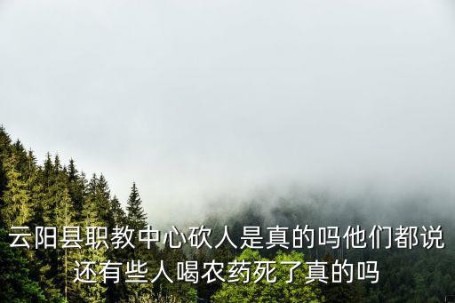 重慶市云陽縣職教中心優秀老師，云陽職教中心地址電話