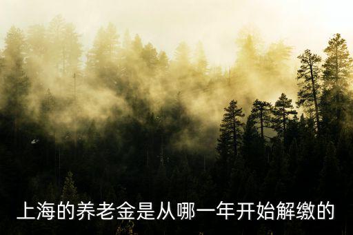 上海市企業養老金何年開始交納，上海的養老金是從哪一年開始解繳的