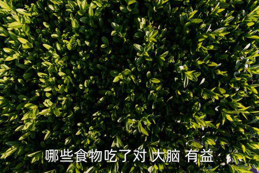 對(duì)大腦有益的食物,核桃富含不飽和脂肪酸有助預(yù)防大腦萎縮