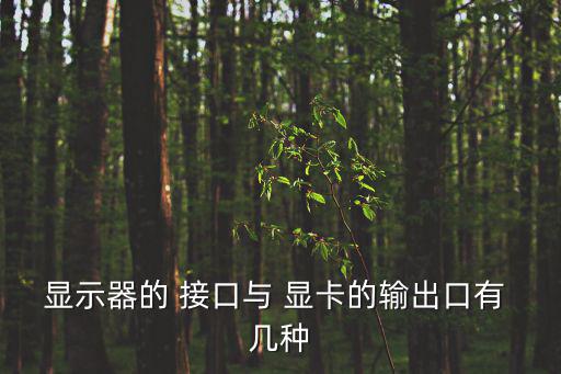 顯示器的 接口與 顯卡的輸出口有 幾種