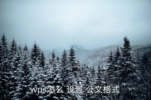 wps怎么 設置 公文格式