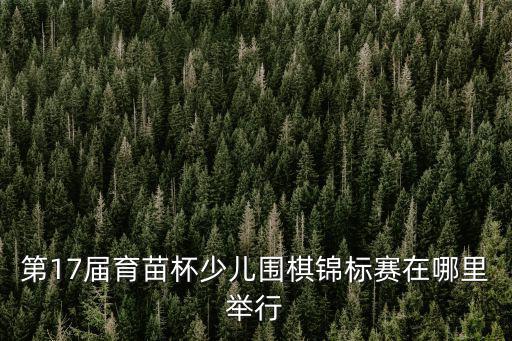 第17屆育苗杯少兒圍棋錦標賽在哪里舉行