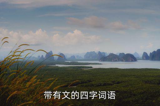 文什么會什么成語,漢語成語大辭典解釋