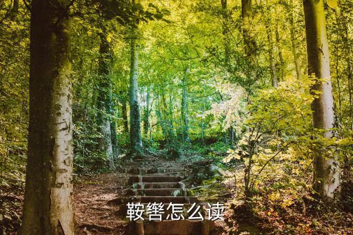 鞍轡怎么讀