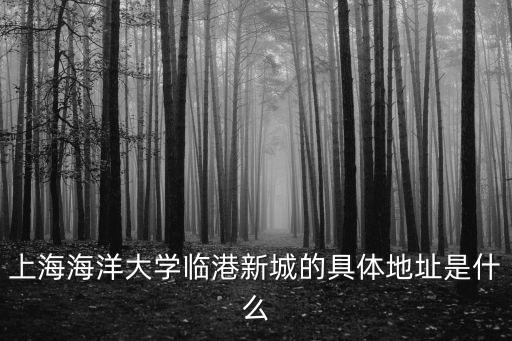 上海海洋大學臨港新城的具體地址是什么