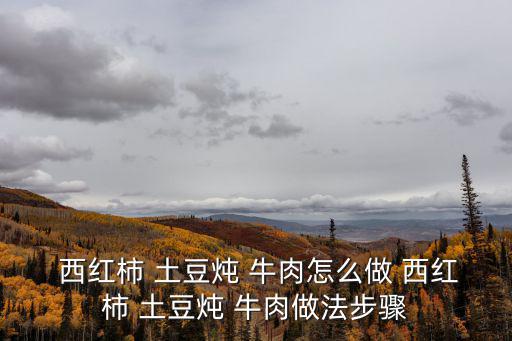 西紅柿土豆燉牛肉