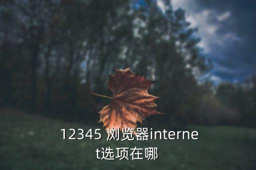  12345 瀏覽器internet選項(xiàng)在哪