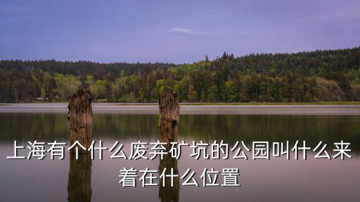 上海市天坑，上海有個什么廢棄礦坑的公園叫什么來著在什么位置