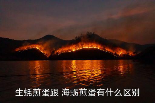 生蠔煎蛋跟 海蠣煎蛋有什么區別