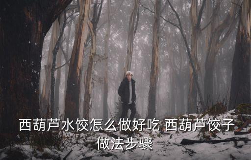  西葫蘆水餃怎么做好吃 西葫蘆餃子做法步驟