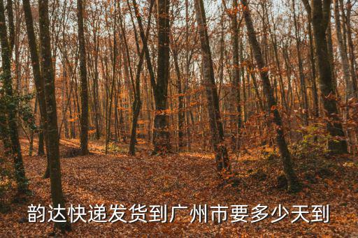 韻達(dá)快遞發(fā)貨到廣州市要多少天到
