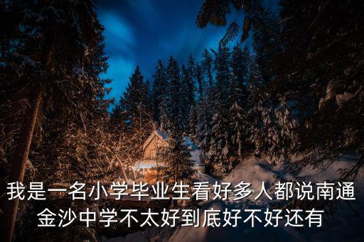 我是一名小學畢業生看好多人都說南通金沙中學不太好到底好不好還有