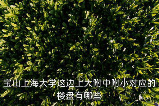 寶山上海大學這邊上大附中附小對應的樓盤有哪些