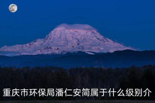 重慶市環(huán)保局潘仁安簡屬于什么級別介