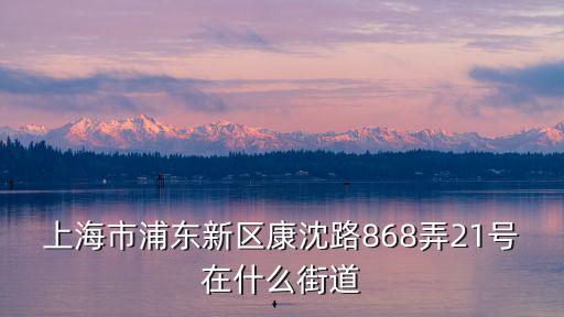 上海市浦東新區康沈路868弄21號在什么街道