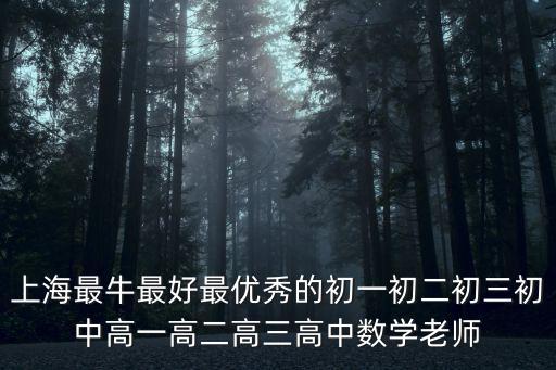 上海最牛最好最優(yōu)秀的初一初二初三初中高一高二高三高中數(shù)學(xué)老師