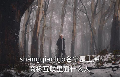 shangqiaolgb名字是上海商橋互聯里面什么人