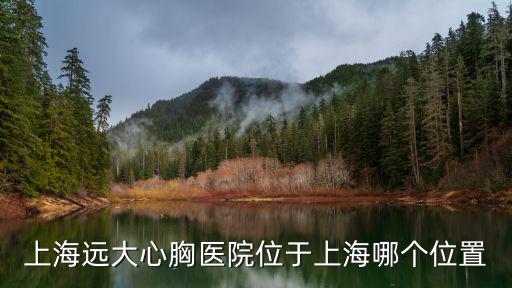 上海遠大心胸醫院位于上海哪個位置