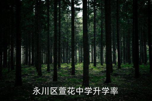 重慶市永川區(qū)萱花中學(xué)肖天成，永川區(qū)萱花中學(xué)升學(xué)率