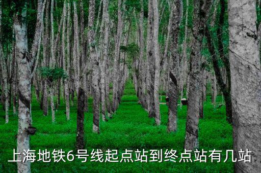 上海地鐵6號(hào)線起點(diǎn)站到終點(diǎn)站有幾站