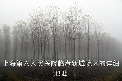 上海第六人民醫院臨港新城院區的詳細地址