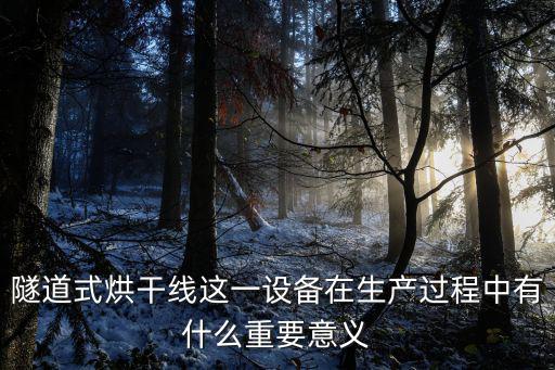 隧道式烘干線這一設(shè)備在生產(chǎn)過程中有什么重要意義
