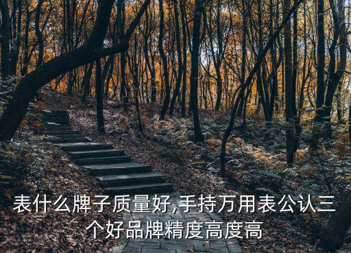 萬用表什么牌子質(zhì)量好,手持萬用表公認三個好品牌精度高度高
