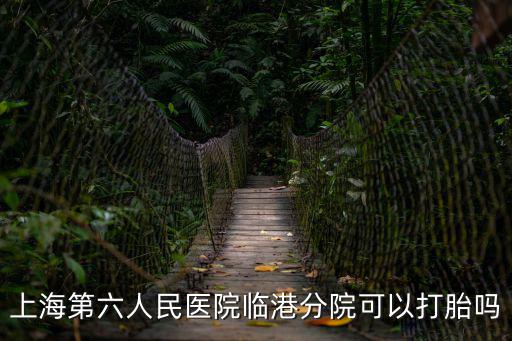 上海第六人民醫院臨港分院可以打胎嗎