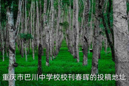 重慶市巴川中學校校刊春暉的投稿地址