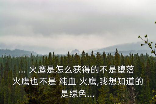 ... 火鷹是怎么獲得的不是墮落 火鷹也不是 純血 火鷹,我想知道的是綠色...
