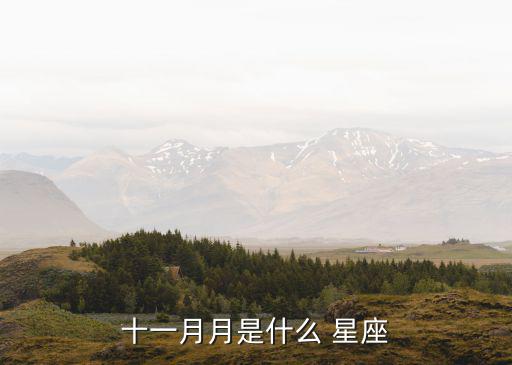 十一月月是什么 星座