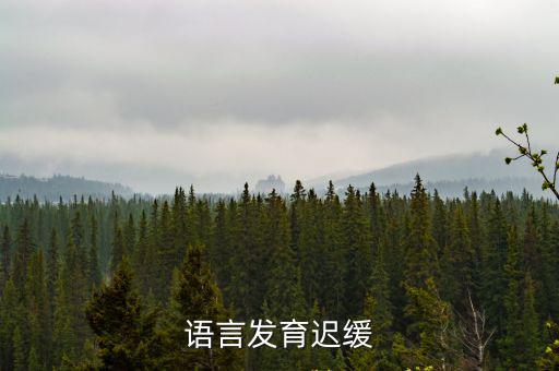 語言發(fā)育遲緩